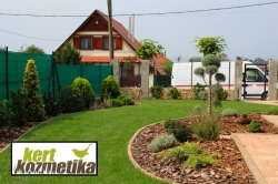 Örökzöld növényágyás (34)